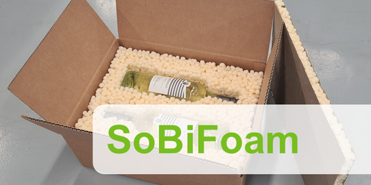 Banner Projekt SoBiFoam