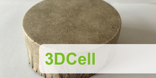 Banner des Projekts 3DCell